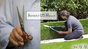 Read more about the article Difference Between Shears and Scissors [Guide]